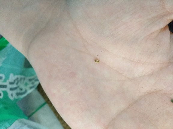 IMG_20170603_081132_temp_1496754228236.jpg
